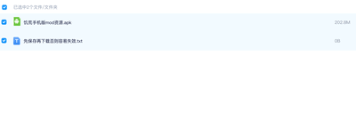 Snipaste_2025-12-15_16-34-09 (1).png