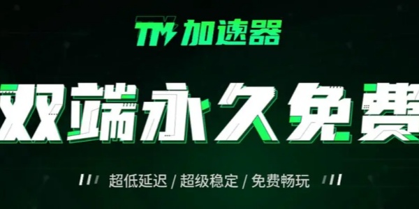 TM加速器智能加速引擎工作示意图