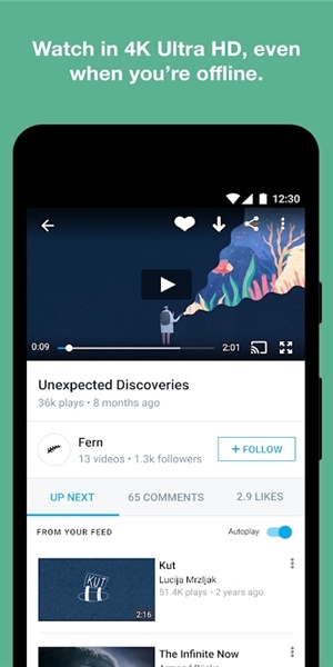 Vimeo平台创意视频内容展示界面