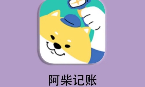 阿柴记账APP主界面展示清晰的图表分析