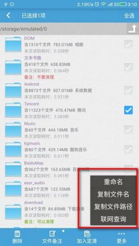 存储空间清理软件文件管理功能界面