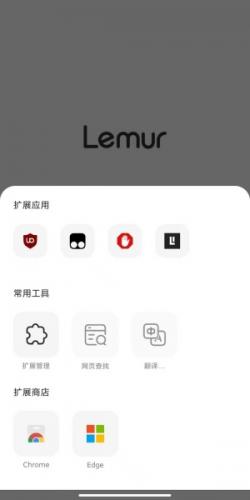 狐猴浏览器极简首页界面展示