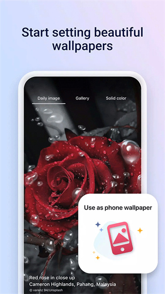 MicrosoftStart个性化主页界面展示，包含资讯、天气和搜索框